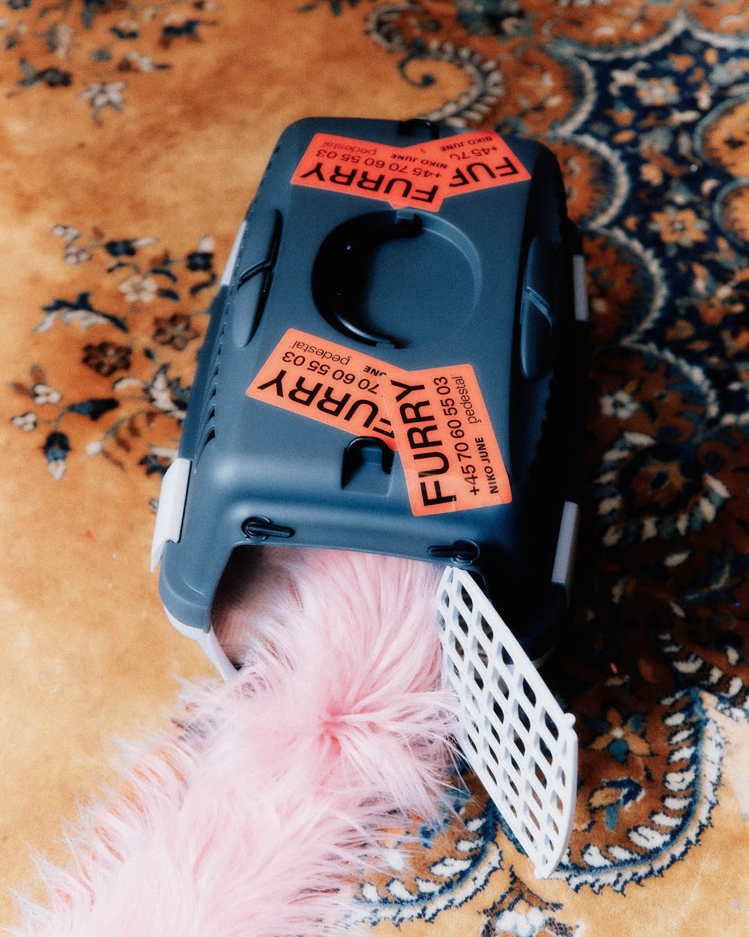 FURRY - Bubble Gum - Image 4